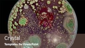  Presentation with fungi - Slide set consisting of samples-of-petri-dishes background and a tawny brown colored foreground