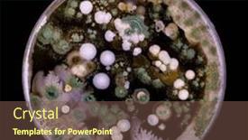  Presentation with fungi - Presentation featuring samples-of-petri-dishes background and a tawny brown colored foreground