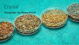  Presentation with nutrition supplements - Presentation consisting of samples-of-seaweed-diet-supplements background and a teal colored foreground