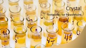  Presentation with test - Slides enhanced with samples of urine background and a yellow colored foreground