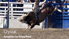 Presentation with viejo - Amazing PPT layouts having businesspeople with umbrellas on the backdrop and a light blue colored foreground