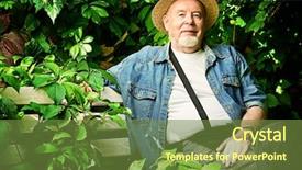  Presentation with happy retirement - PPT layouts enhanced with sanatarium - portrait of a handsome senior background and a tawny brown colored foreground