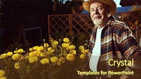  Presentation with happy retirement - Slide set enhanced with sanatarium - portrait of a handsome senior background and a  colored foreground