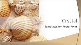  Presentation with sea shells - 