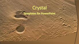  Presentation with footprint - PPT layouts consisting of sand at dusk with bird background and a coral colored foreground