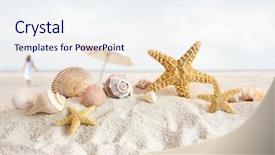  Presentation with starfish - Beautiful slides featuring sand at the beach backdrop and a sky blue colored foreground