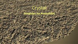  Presentation with crabs - Beautiful theme featuring sand-beach-close-up-texture backdrop and a tawny brown colored foreground