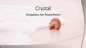  Presentation with sea shell - Audience pleasing PPT theme consisting of sand beach in delicate pink backdrop and a sky blue colored foreground