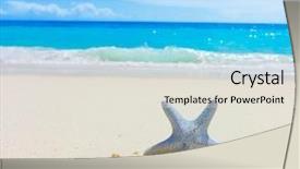  Presentation with fish beach - Amazing slide deck having sand beach sea backdrop and a sky blue colored foreground