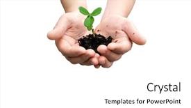  Presentation with space - Theme featuring hands with small pea plant background and a white colored foreground
