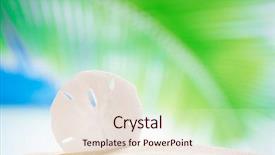  Presentation with sea shell - Amazing slide set having sand dollar shell on beach backdrop and a lemonade colored foreground