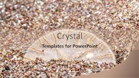  Presentation with sand - Beautiful PPT layouts featuring sand-dollar-sits-wedged backdrop and a soft green colored foreground