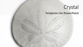  Presentation with sand - Presentation theme featuring sand dollar background and a light gray colored foreground