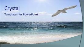  Presentation with sardines school in blue sea - Presentation theme enhanced with sand dune - sea beach and blue sea background and a sky blue colored foreground