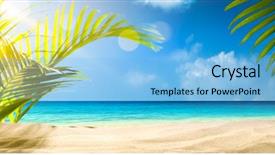  Presentation with beach palm tree wedding - Audience pleasing presentation design consisting of sand green leaves - beach background palm and tropic backdrop and a light blue colored foreground