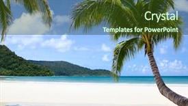  Presentation with summer - Theme having sand green leaves - summer landscape background and a tawny brown colored foreground