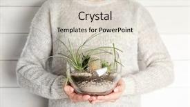  Presentation with succulent - Cool new slide set with sand green leaves - women hands holding mini succulent backdrop and a lemonade colored foreground