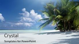  Presentation with coconut palm tree - Colorful slides enhanced with sand island with coconut palms backdrop and a light blue colored foreground
