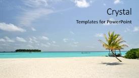  Presentation with palm beach - Presentation design with sand lonely palm and turquise background and a  colored foreground