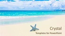  Presentation with 5 stars five star rating - Amazing presentation having sand stars sea backdrop and a cream colored foreground