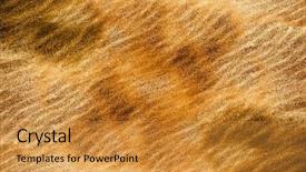  Presentation with sand textured - Colorful slide deck enhanced with sand stone textured background digital backdrop and a gold colored foreground
