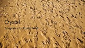  Presentation with crowd - Theme featuring sand trampled with barefoot crowd background and a gold colored foreground