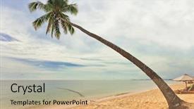  Presentation with gloomy - Slides consisting of sand tropical beach with palm background and a  colored foreground