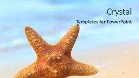  Presentation with heaven - PPT theme with sand water - some stars are dropped background and a  colored foreground