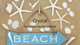  Presentation with seashell - PPT layouts having sand with starfish and seashell background and a coral colored foreground