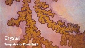  Presentation with sandstone - PPT layouts featuring sandstone with vegetable fossils background and a coral colored foreground