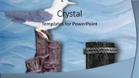  Presentation with photo - Presentation design having sandy-beach-background-photo-prop background and a light blue colored foreground