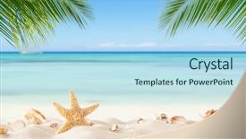  Presentation with palm leaves - Amazing slide deck having sandy beach with blur ocean backdrop and a light blue colored foreground