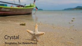  Presentation with footprints and sand beach - PPT layouts enhanced with sandy beach with long tail background and a coral colored foreground