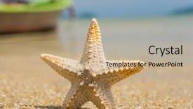  Presentation with starfish - Slides consisting of sandy beach with long tail background and a coral colored foreground