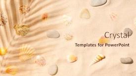  Presentation with sea shells - PPT theme with sandy-beach-with-sea-shells background and a  colored foreground