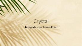  Presentation with palm leaves - Slide deck consisting of sandy-beach-with-shadow and a  colored foreground