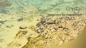  Presentation with sea floor - PPT theme featuring sandy-ocean-floor-with-sea background and a mint green colored foreground