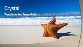  Presentation with starfish - Audience pleasing theme consisting of sandy shores - caribbean starfish over sand beach backdrop and a ocean colored foreground