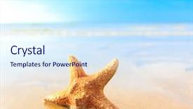  Presentation with fish - Audience pleasing PPT layouts consisting of sandy shores - sea sand fish backdrop and a sky blue colored foreground