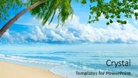  Presentation with miami beach - Amazing PPT theme having sandy tropical beach in summer backdrop and a light blue colored foreground