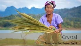  Presentation with rice plant - 