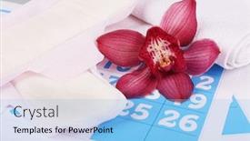  Presentation with orchid - PPT layouts with sanitary-pads-and-lilac-orchid background and a light blue colored foreground