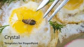  Presentation with food sanitation - Colorful PPT layouts enhanced with food sanitation - dead cockroach in scrambled eggs backdrop and a coral colored foreground