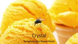  Presentation with ice cream - Beautiful PPT theme featuring food contamination - housefly on a scoop backdrop and a gold colored foreground