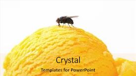  Presentation with ice cream - Colorful theme enhanced with food contamination - housefly on a scoop backdrop and a yellow colored foreground
