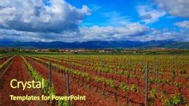  Presentation with our way - Cool new slides with food symbol meditterranean - la rioja vineyard fields backdrop and a tawny brown colored foreground