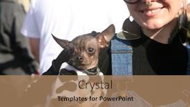  Presentation with bernie sanders - PPT theme enhanced with santa-ana-california-usa-february background and a coral colored foreground