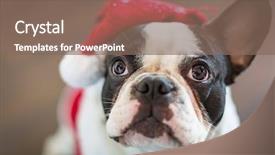  Presentation with champion - Presentation theme with santa costume for christmas background and a  colored foreground