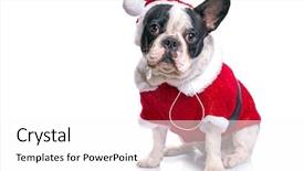  Presentation with black and gold christmas - Amazing PPT theme having santa costume for christmas backdrop and a  colored foreground