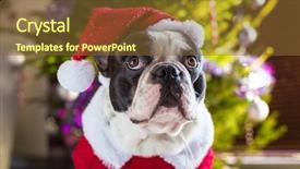  Presentation with christmas tree - Colorful theme enhanced with santa costume under christmas backdrop and a tawny brown colored foreground